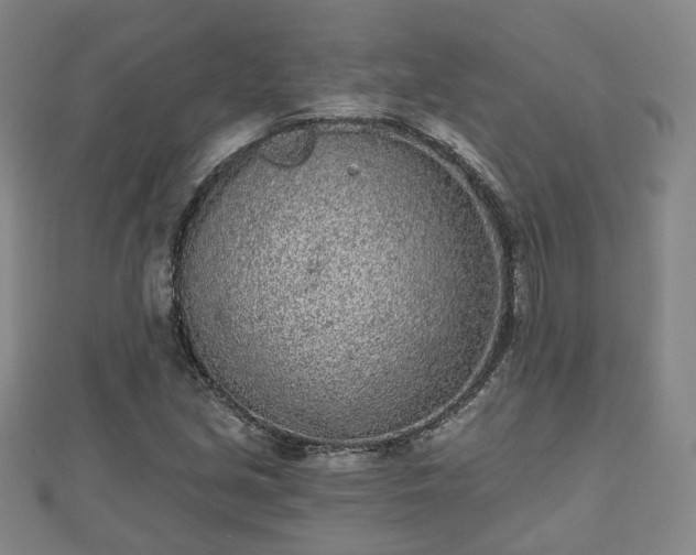 X0000110721213200906191459