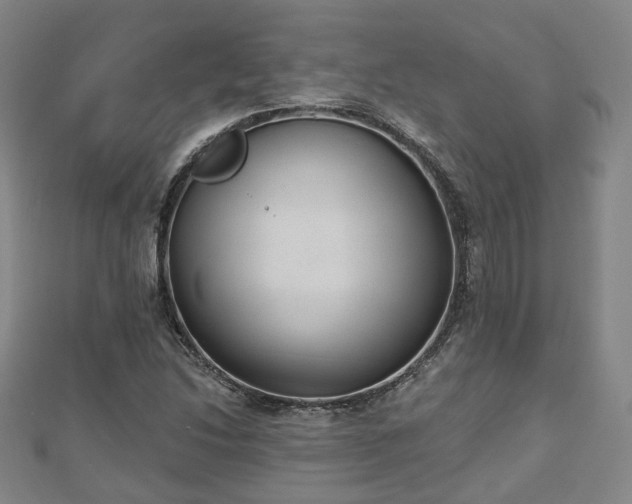 X0000110721214200906191459