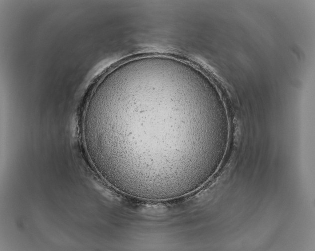 X0000110721215200906191459