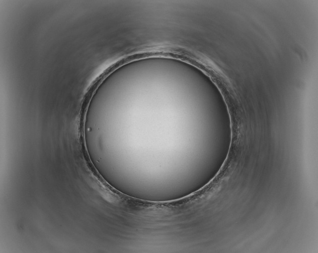 X0000110721216200906191459