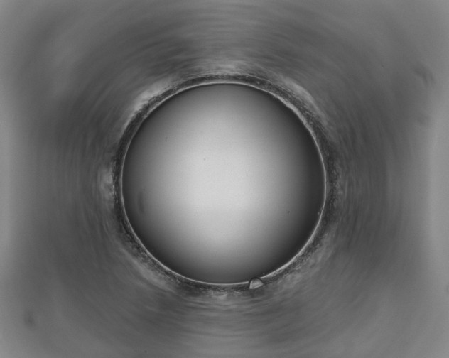 X0000110721218200906191459