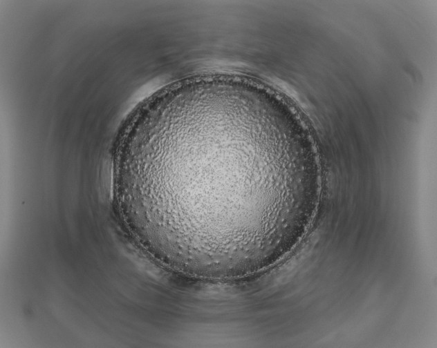 X0000110721219200906191459