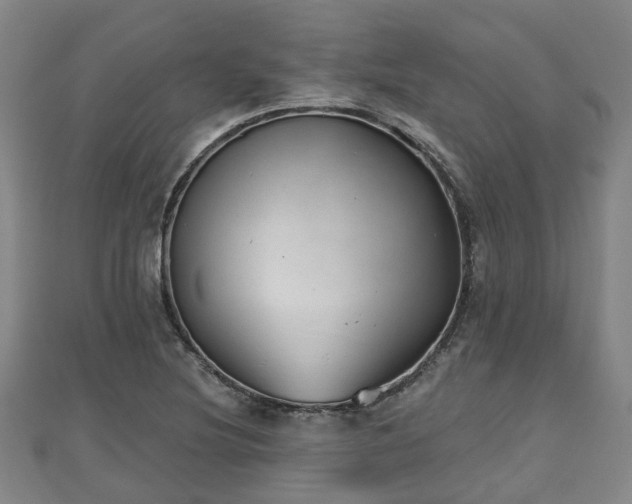X0000110721220200906191459