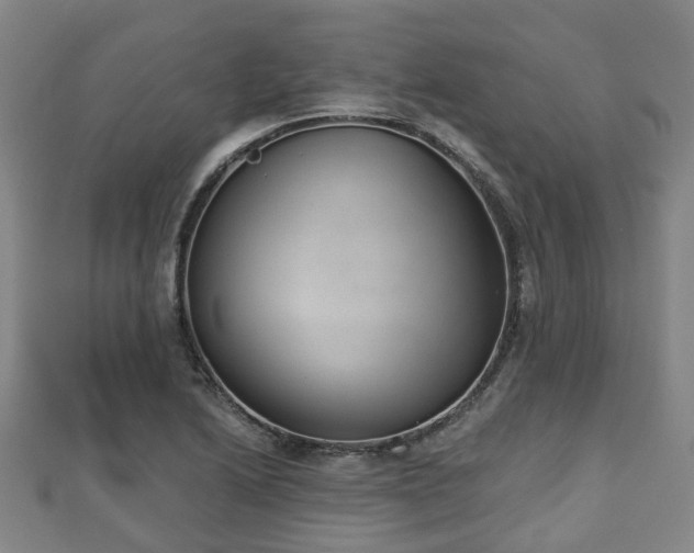 X0000110721222200906191459