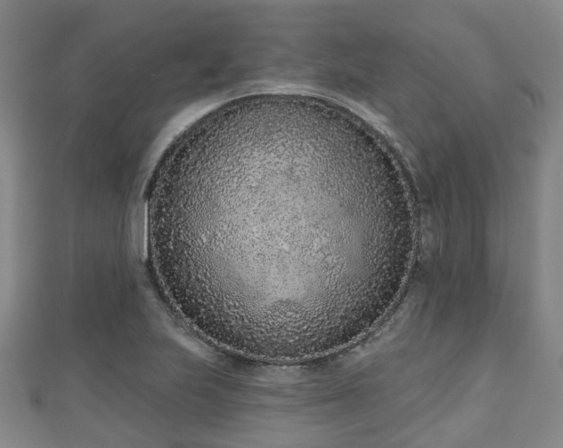 X0000110721223200906191459