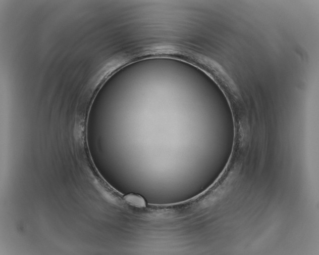 X0000110721225200906191459