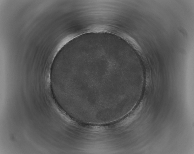 X0000110721226200906191459