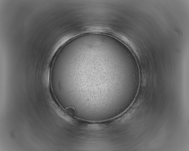 X0000110721227200906191459