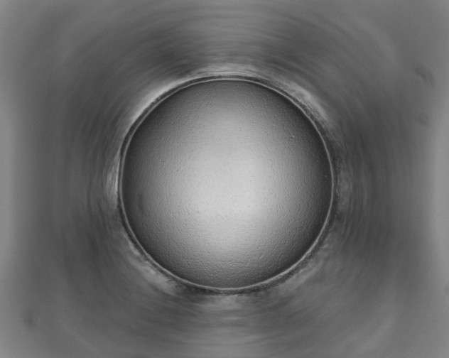 X0000110721228200906191459