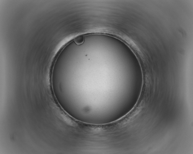 X0000110721230200906191459