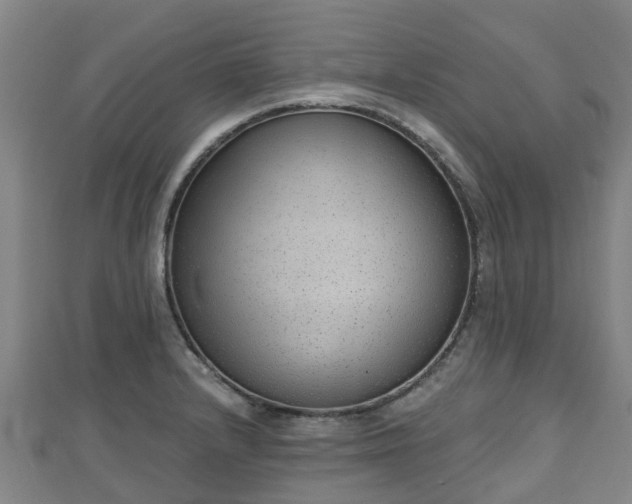 X0000110721232200906191459
