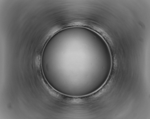 X0000110721233200906191459