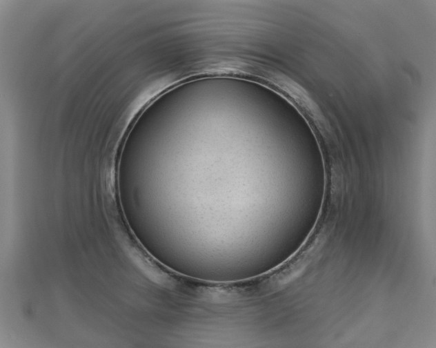 X0000110721234200906191459