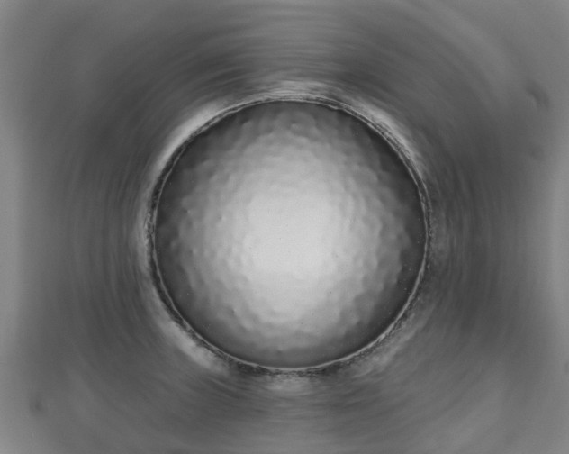 X0000110721235200906191459