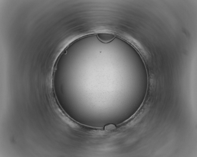 X0000110721236200906191459