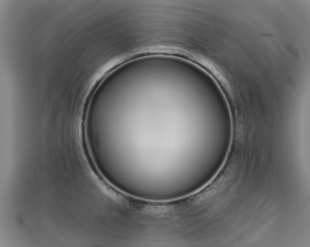 X0000110721237200906191459