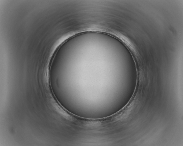 X0000110721238200906191459