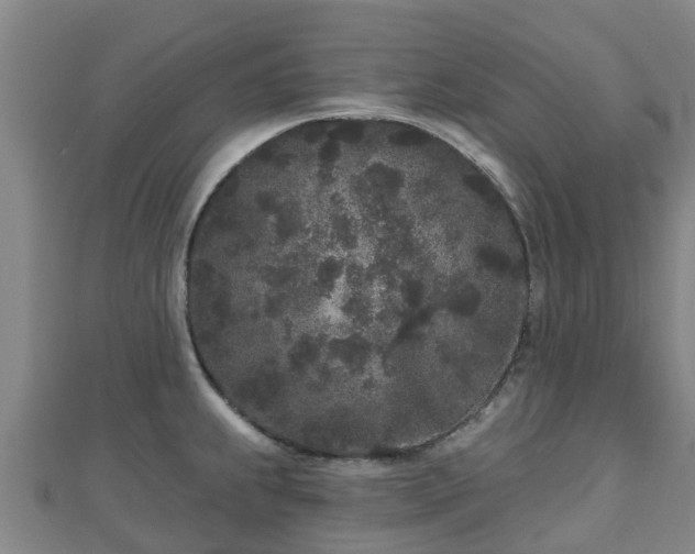 X0000110721239200906191459