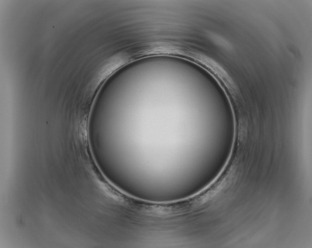 X0000110721241200906191459