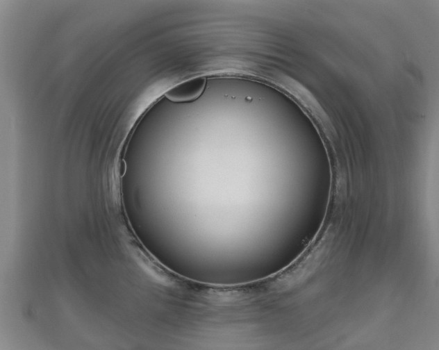 X0000110721242200906191459