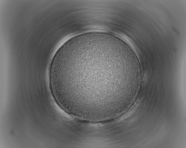 X0000110721243200906191459