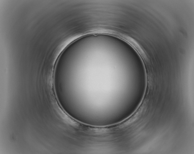 X0000110721244200906191459