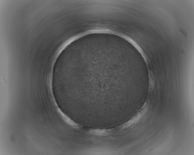 X0000110721245200906191459