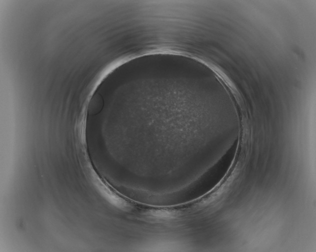 X0000110721246200906191459