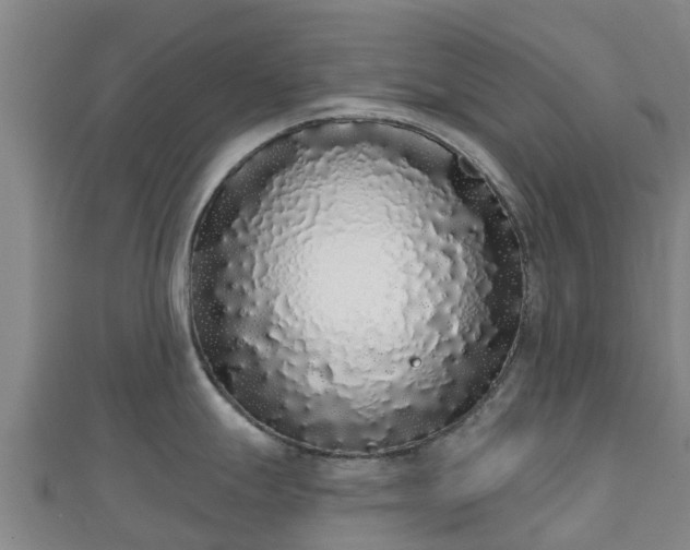 X0000110721247200906191459