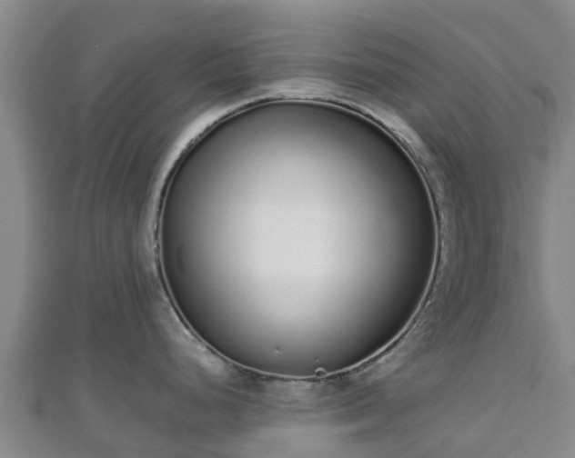 X0000110721248200906191459