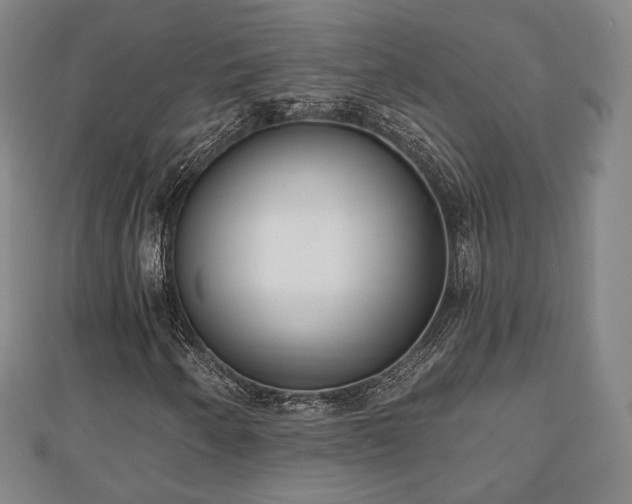 X0000110721250200906191458