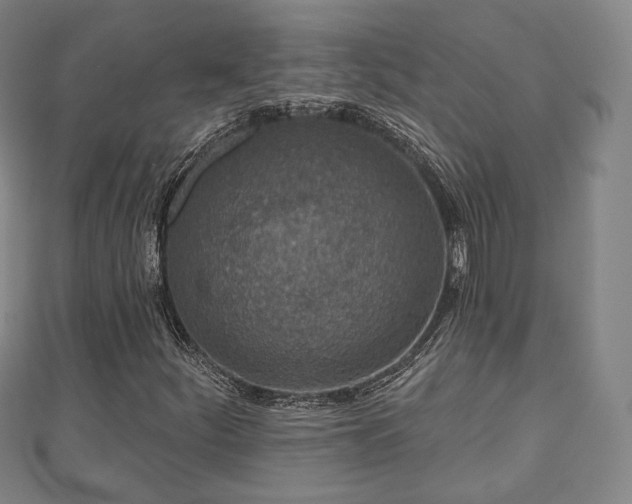 X0000110721252200906191458