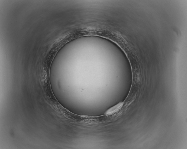 X0000110721253200906191458