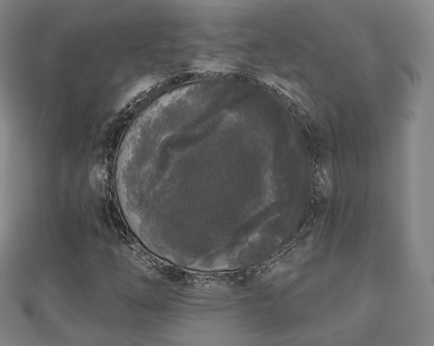 X0000110721254200906191458