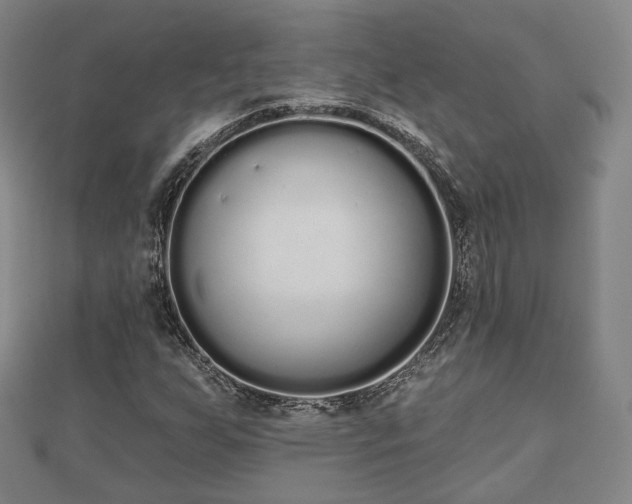 X0000110721255200906191458