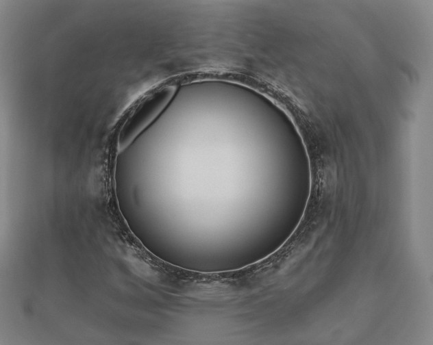 X0000110721256200906191458