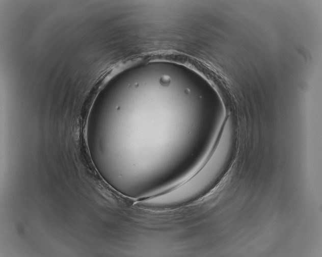 X0000110721257200906191458