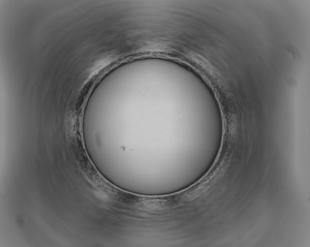 X0000110721258200906191458