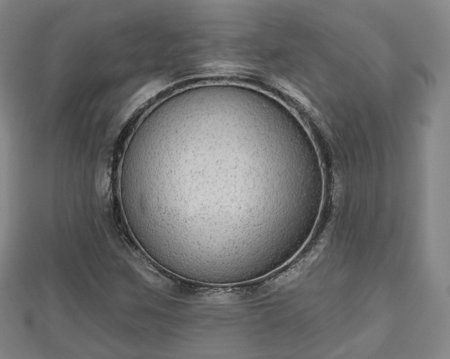 X0000110721259200906191458