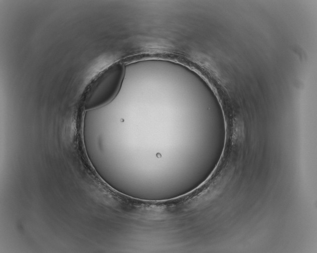 X0000110721261200906191458