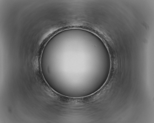 X0000110721262200906191458
