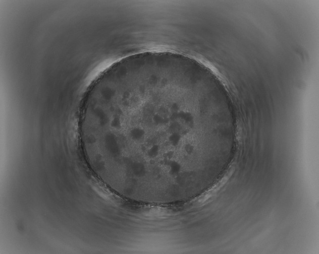 X0000110721263200906191458