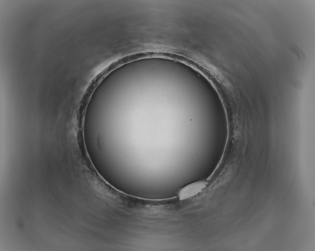 X0000110721264200906191458