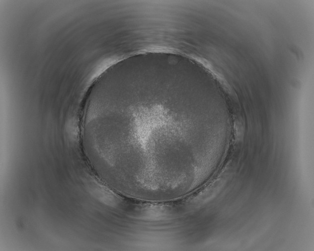 X0000110721266200906191458