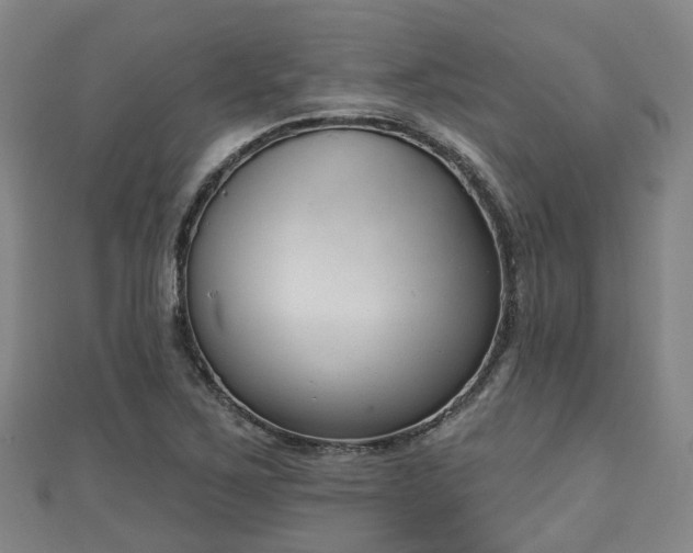 X0000110721267200906191458