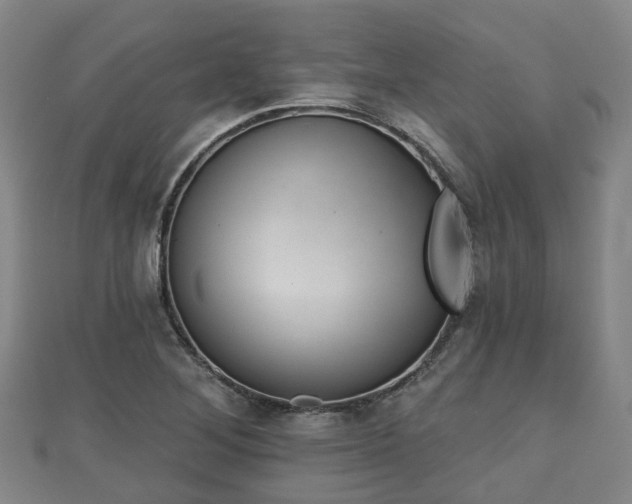 X0000110721268200906191458
