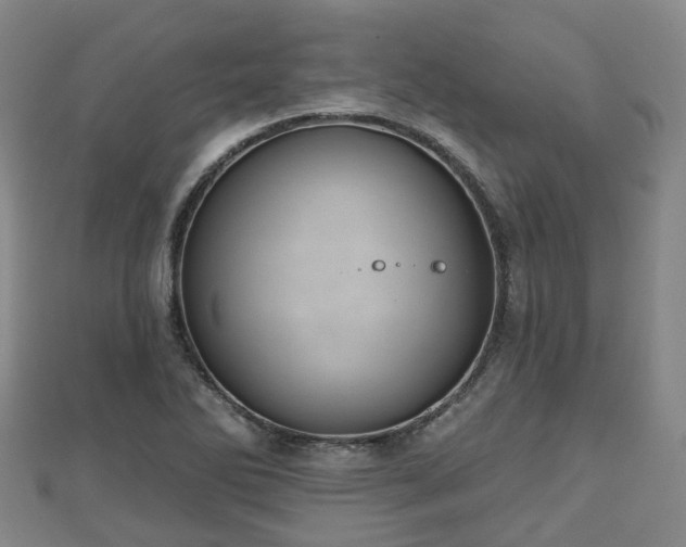 X0000110721270200906191458