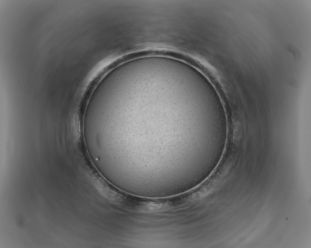 X0000110721271200906191458