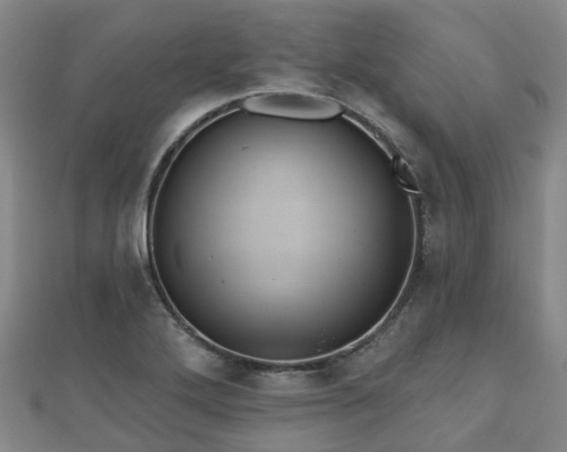 X0000110721272200906191458