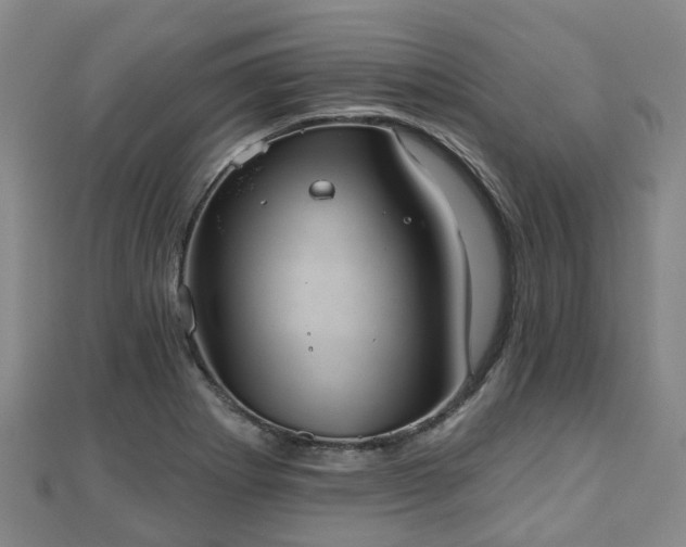 X0000110721273200906191458